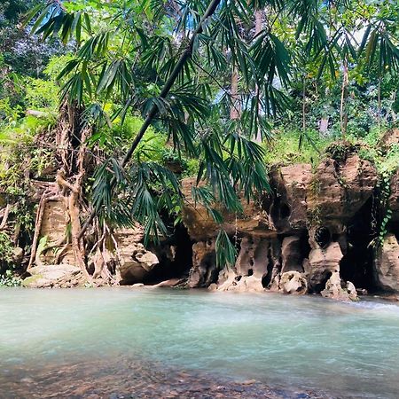 R5 Keramba Inn Bukit Lawang Bagian luar foto