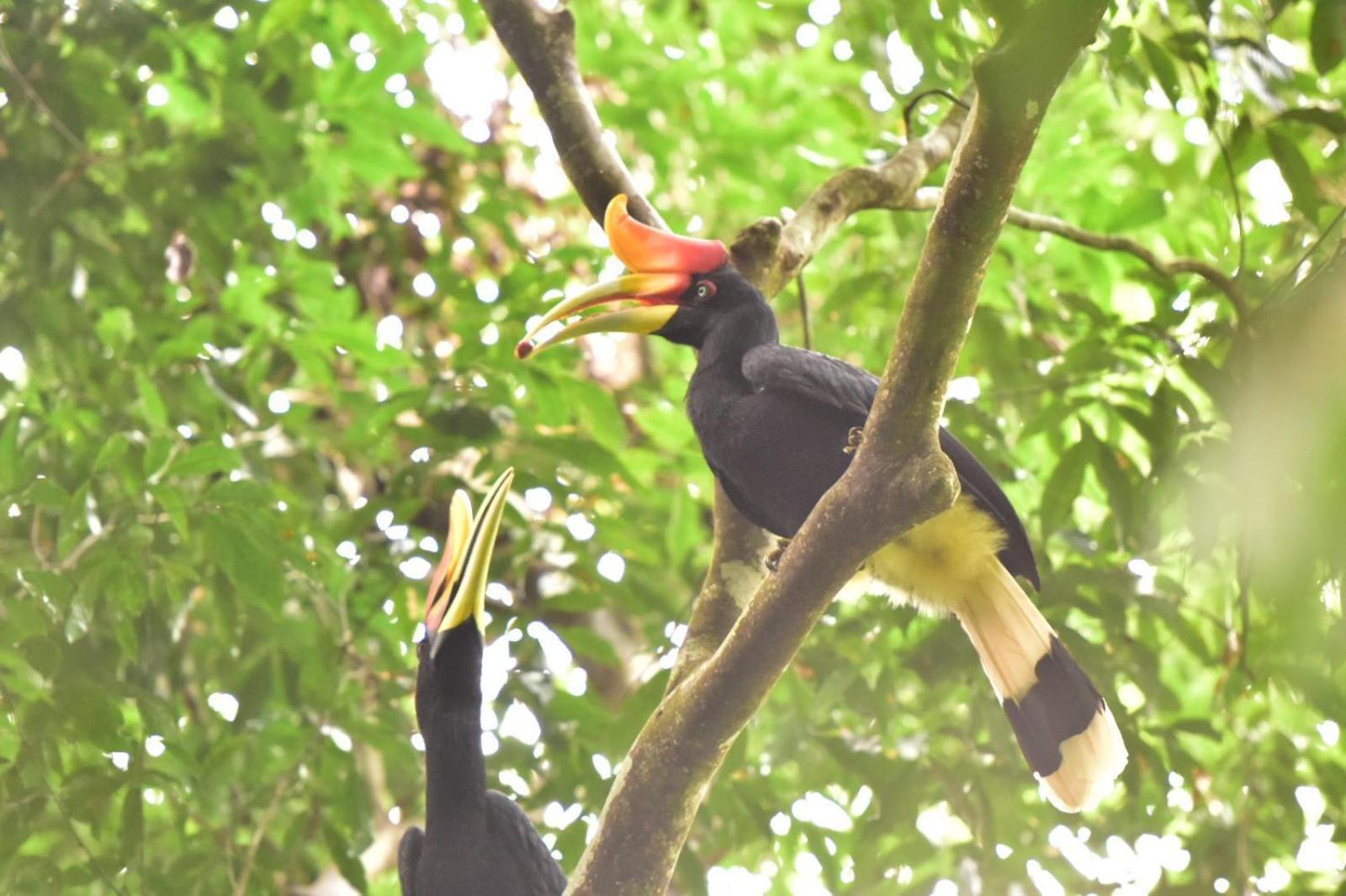R5 Keramba Inn Bukit Lawang Bagian luar foto