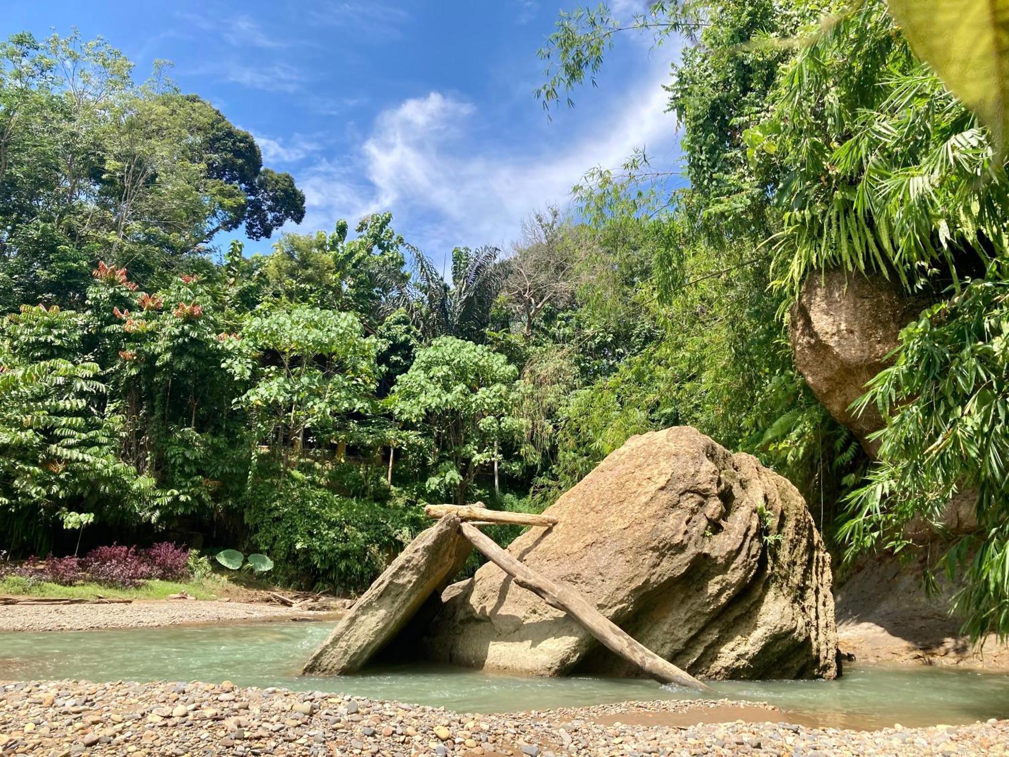 R5 Keramba Inn Bukit Lawang Bagian luar foto